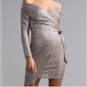 NWT Metallic silver/gold  mini dress
